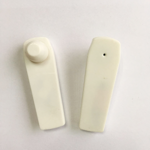Small whiteboard anti-theft buckle